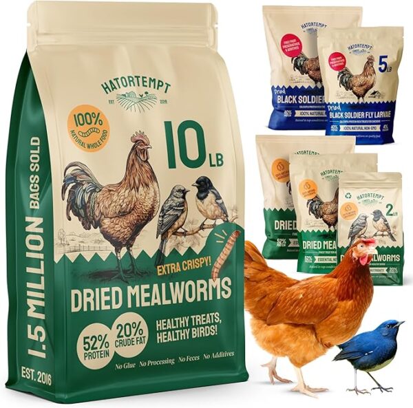 Bulk Dried Mealworms 10 Lbs - Non GMO Dried Mealworms for Chickens